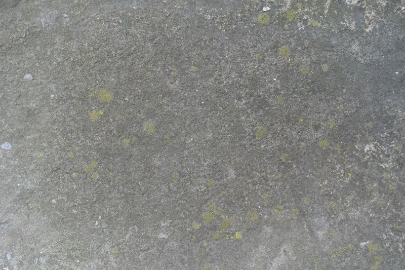 Concrete Floor Staining in Corpus Christi, TX