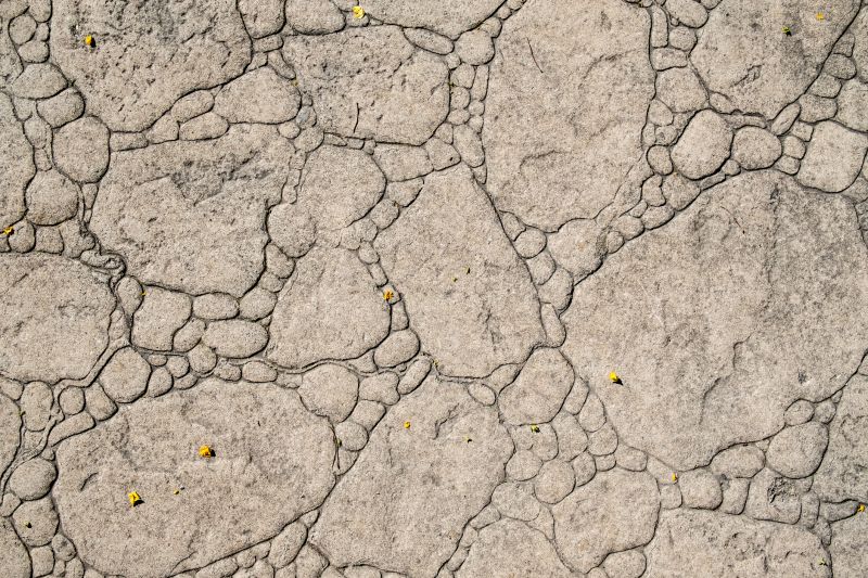 Decorative Concrete Repair in Overland Park, KS